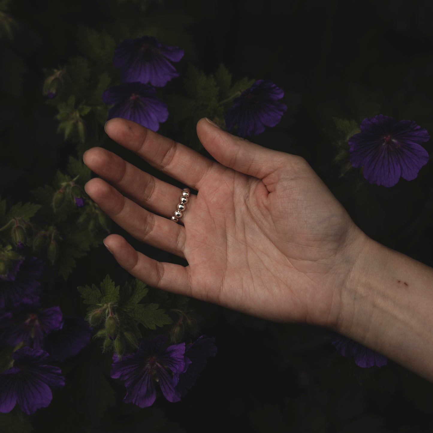 Kando Ring