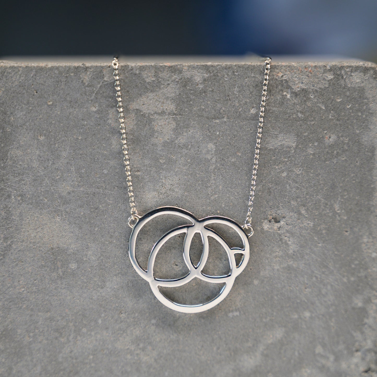 Revolve Silver Necklace