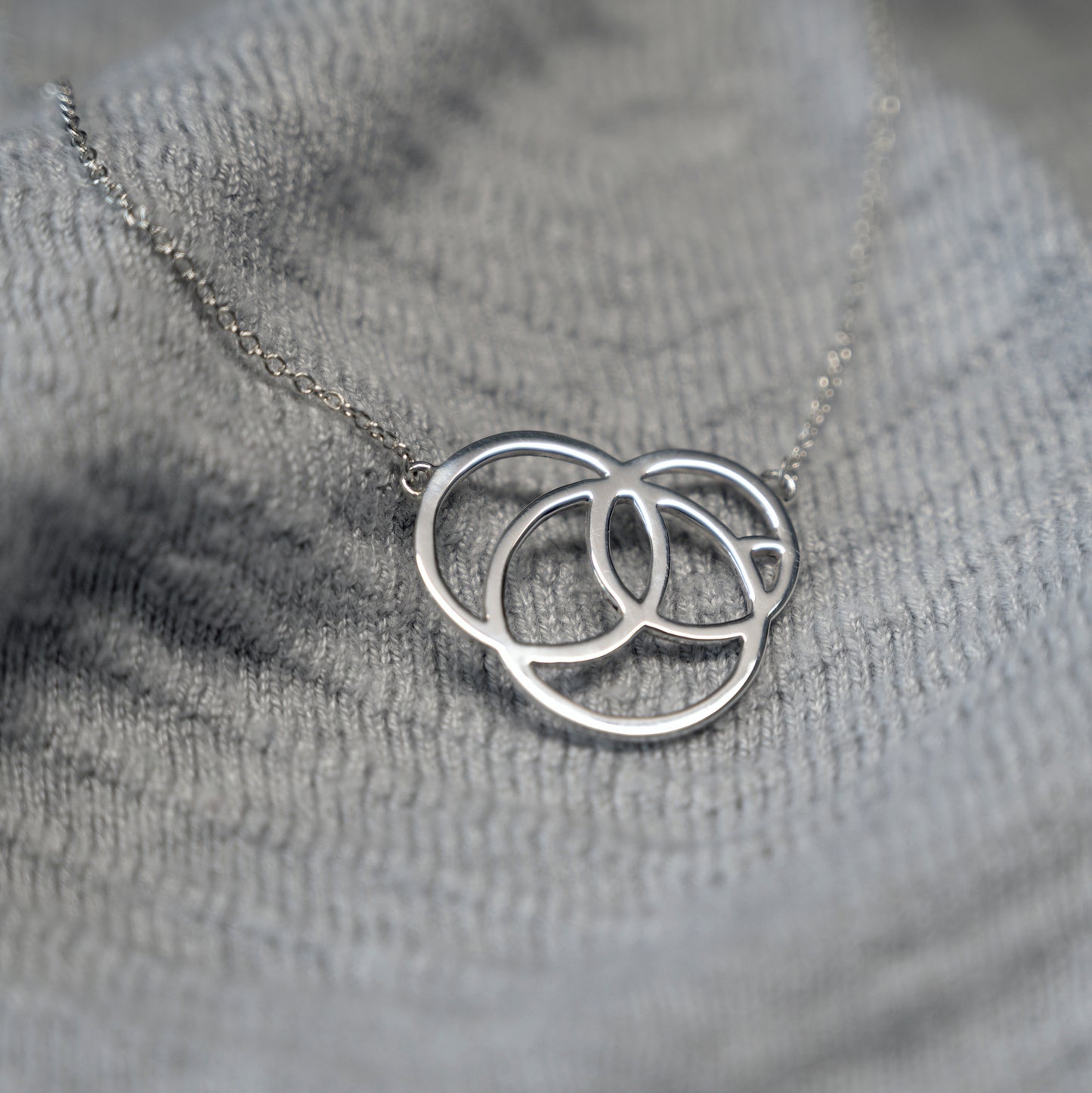 Revolve Silver Necklace